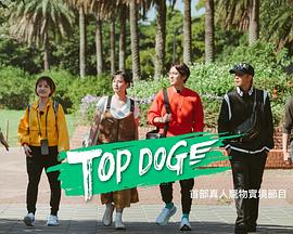 51吃瓜《TOP DOG》免费在线观看