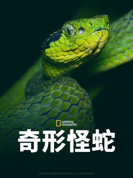 51吃瓜官网《奇形怪蛇》免费在线观看